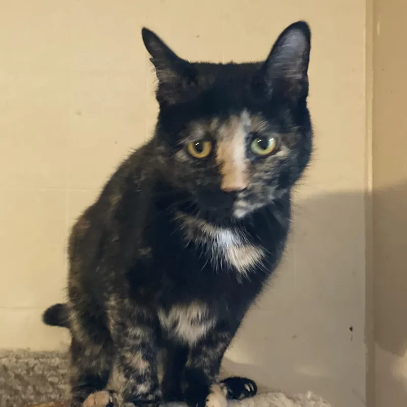 Helen Grace thumbnail 4