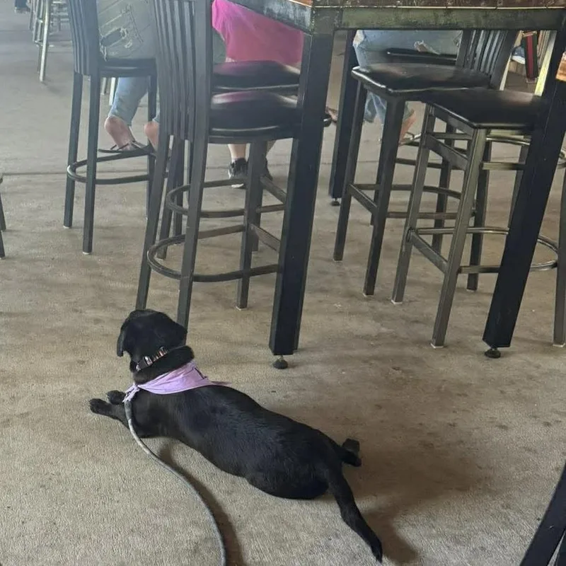 Colby Jack thumbnail 2