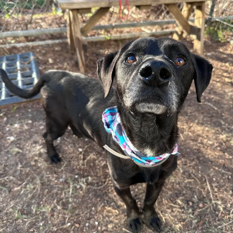 Colby Jack thumbnail 4