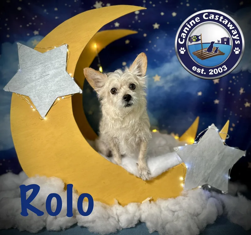 Rolo