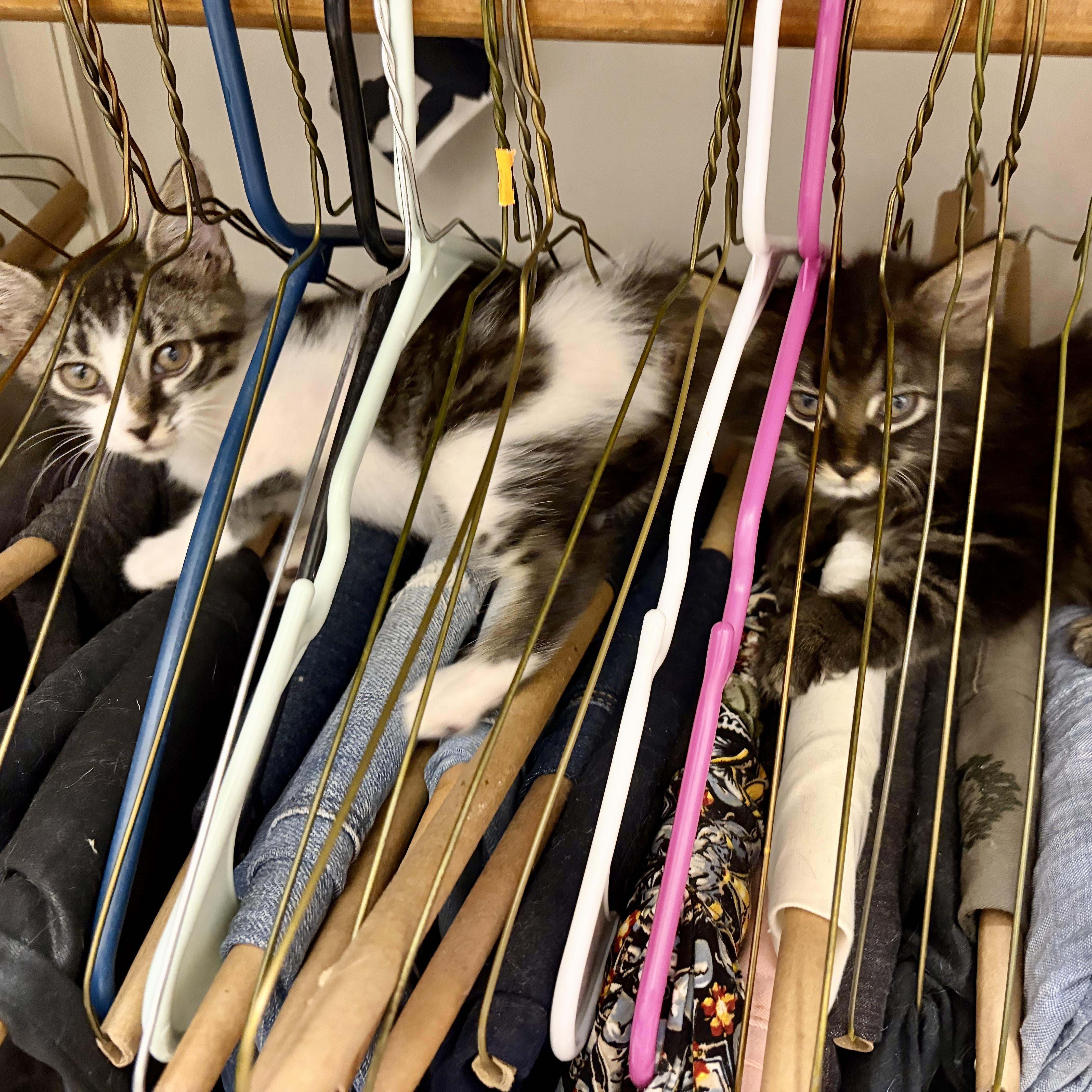 Smokey & Bandit thumbnail 3