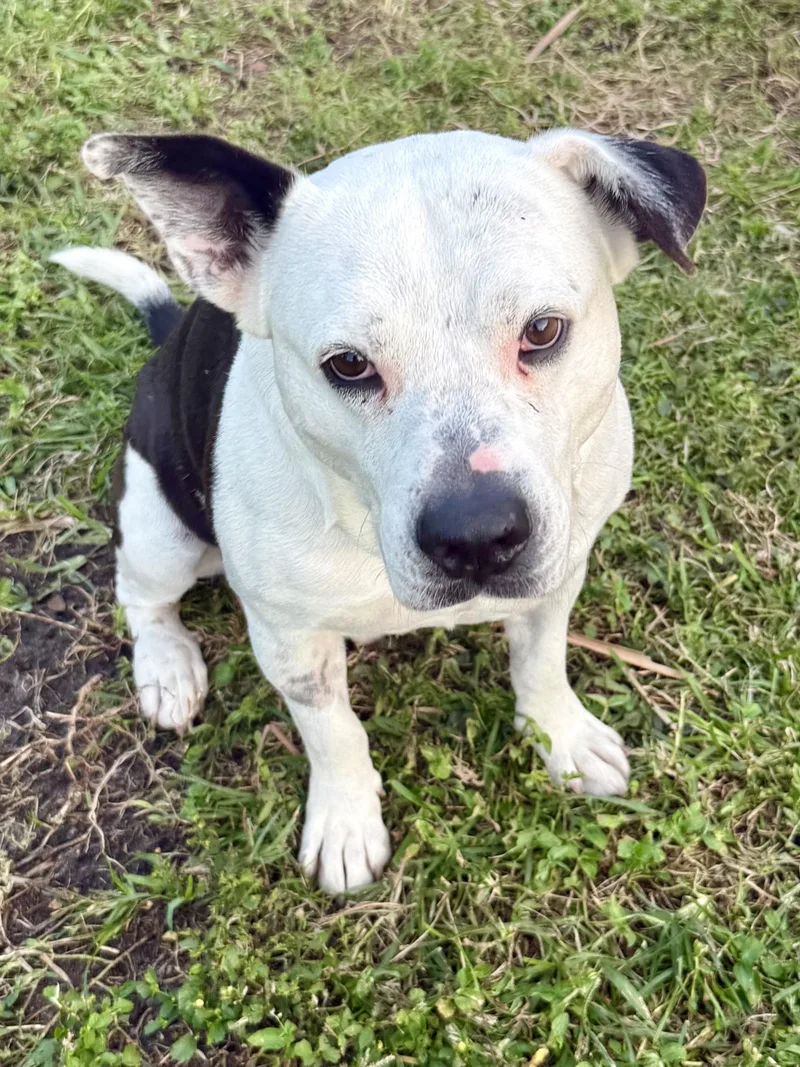 Luke Super Stunning Sweet