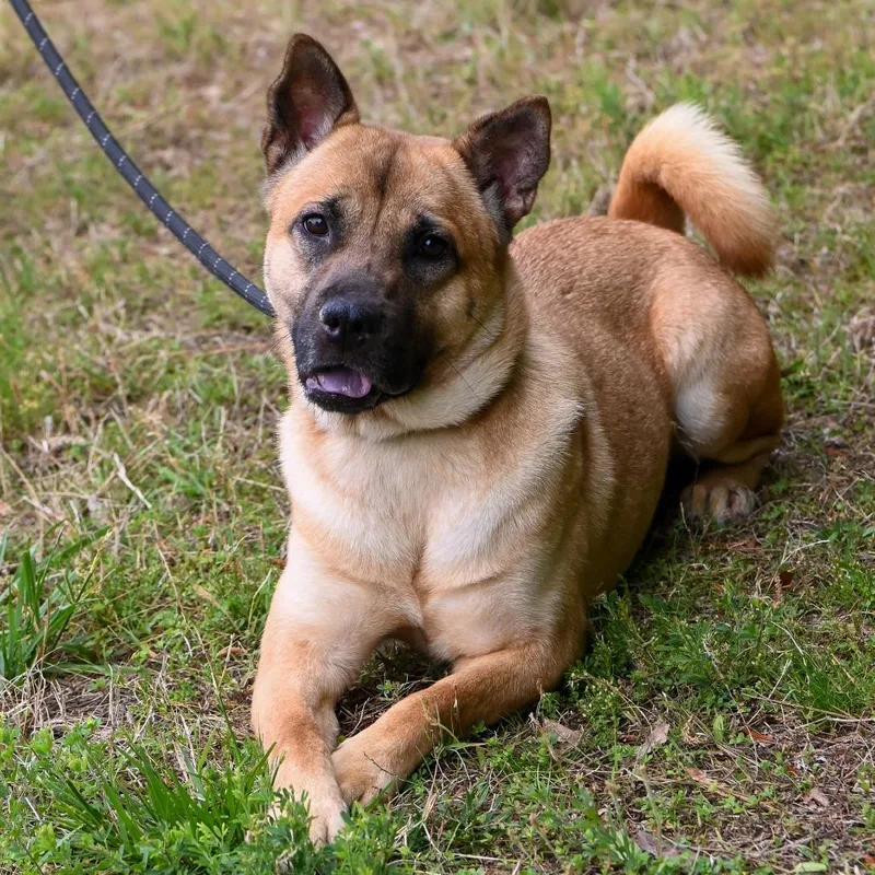 Bailey