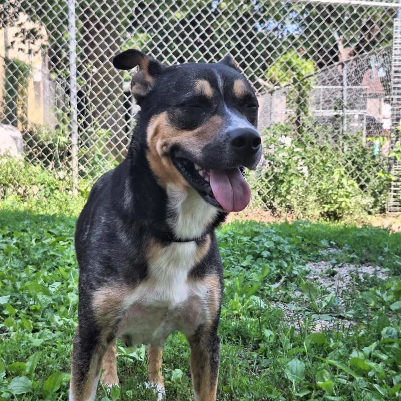 Charlotte thumbnail 3