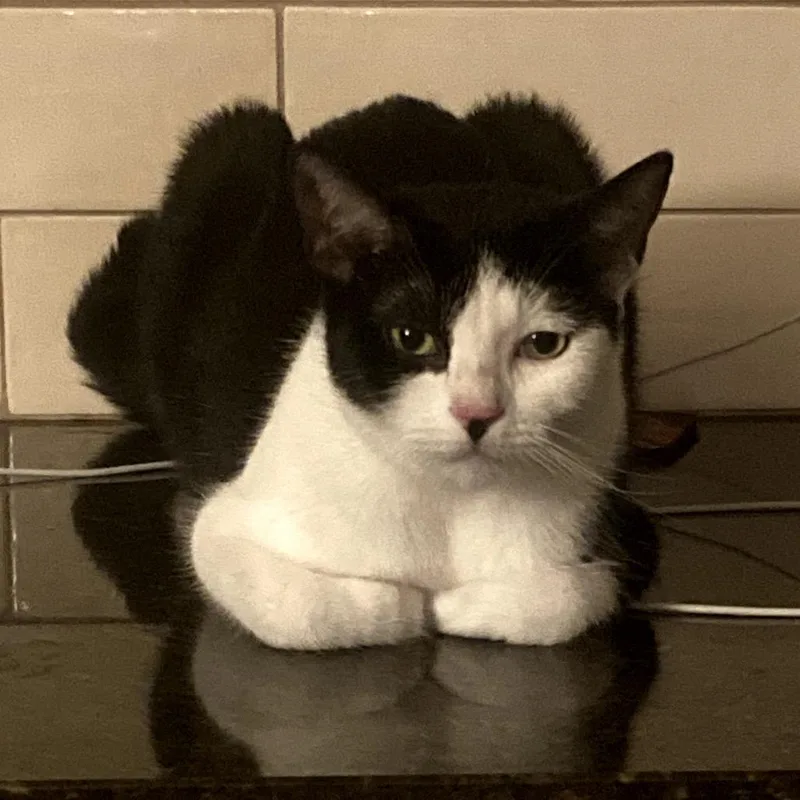 Meowoi Kusama thumbnail 2