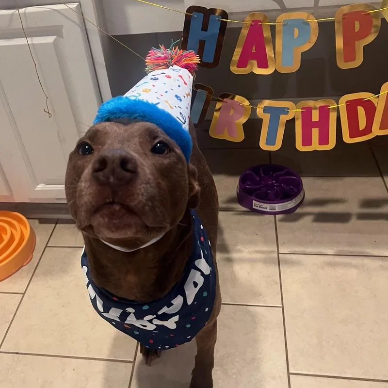 Charlie  A Sweet thumbnail 3