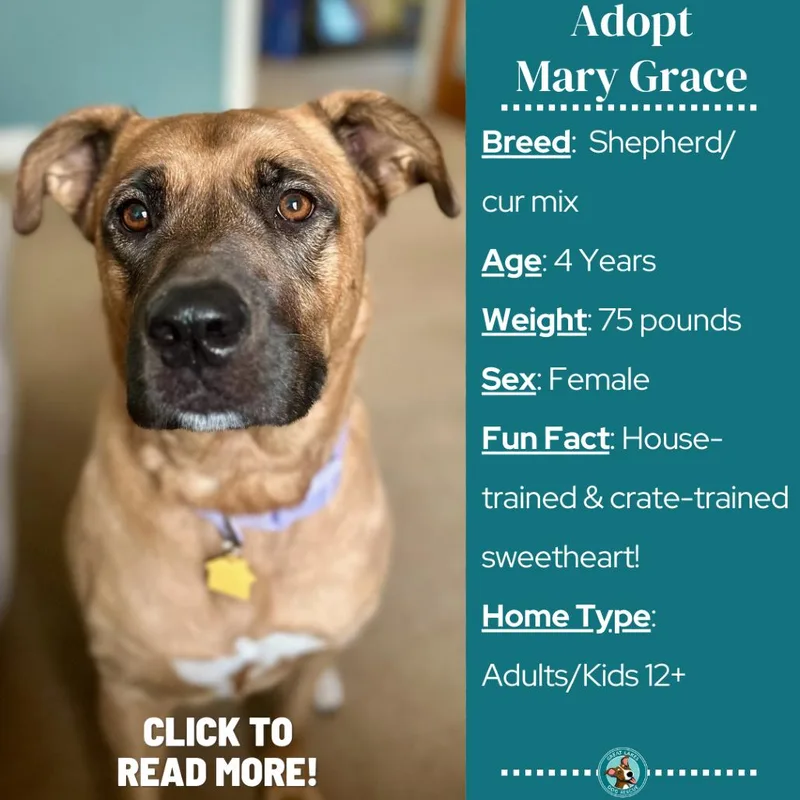 Mary Grace thumbnail 2