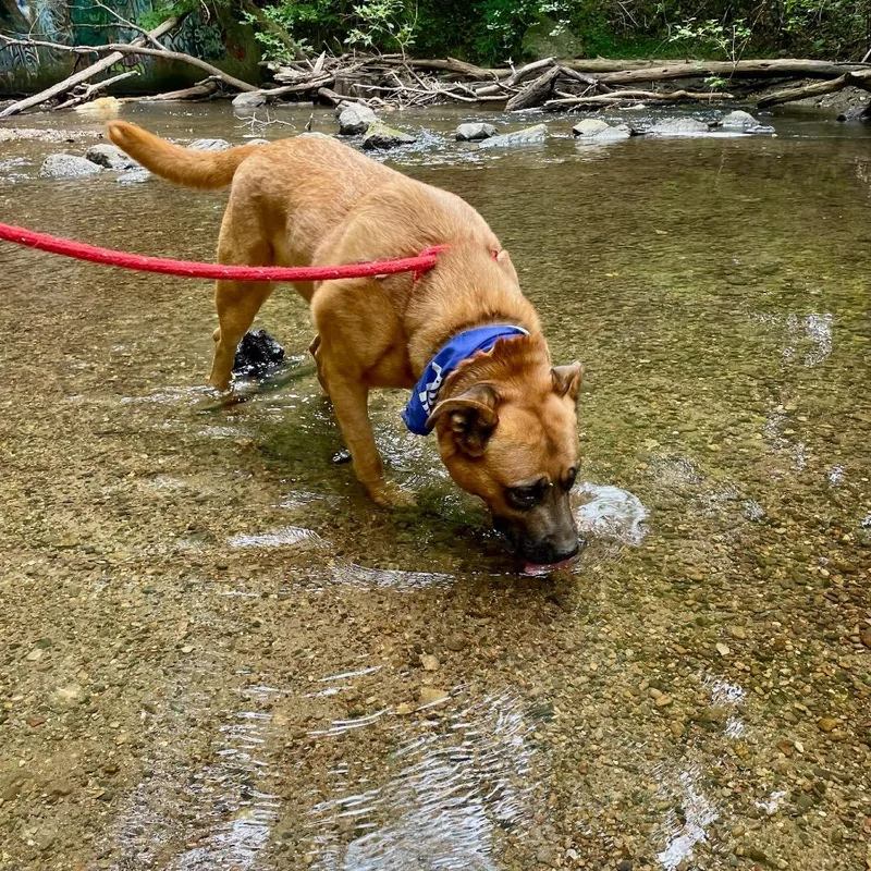 Mary Grace thumbnail 3