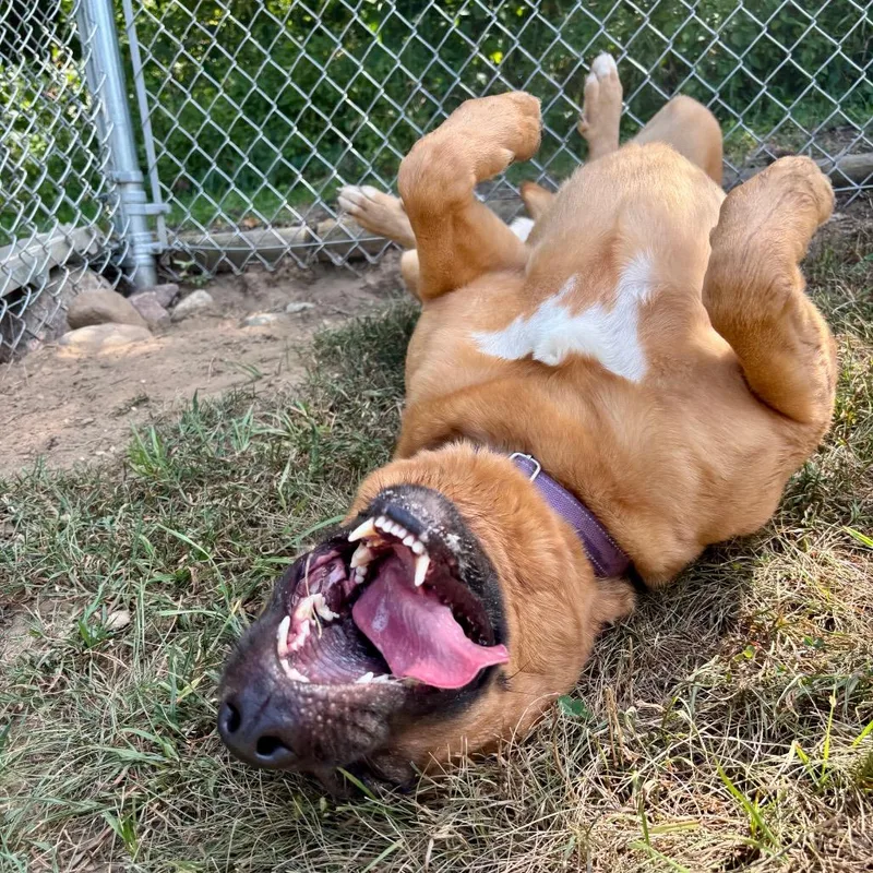 Mary Grace thumbnail 4