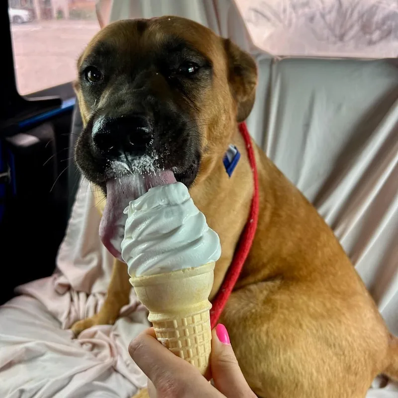 Mary Grace thumbnail 5