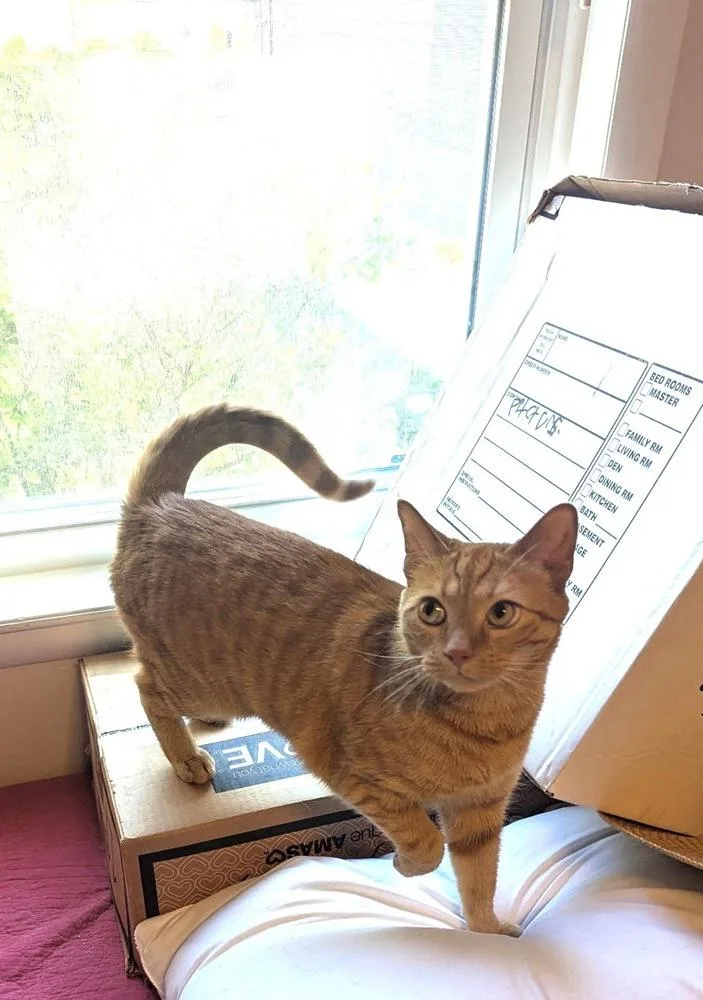 Leo