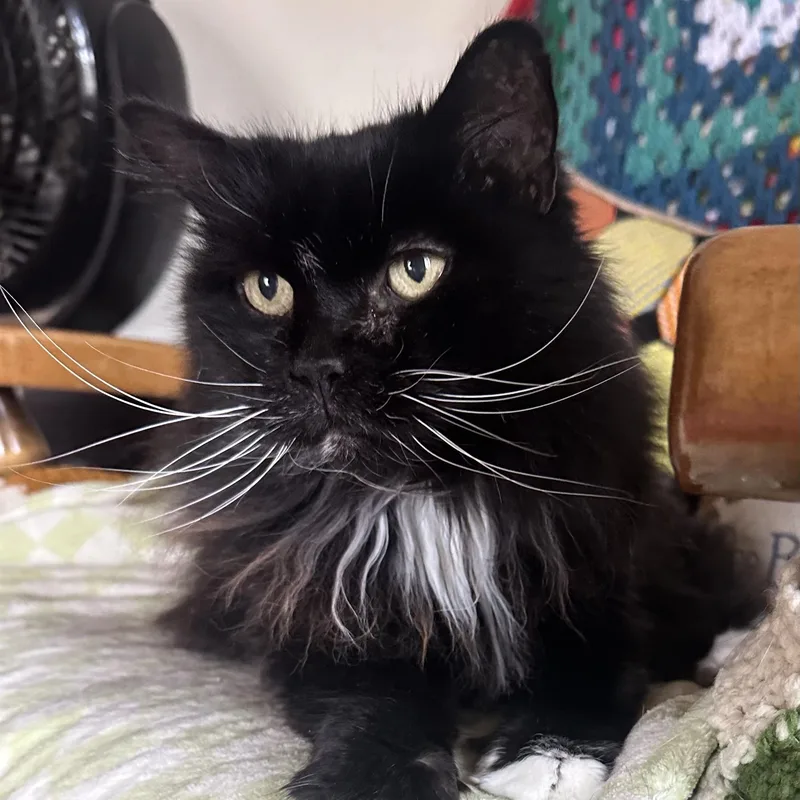Bootsie in Colorado thumbnail 3