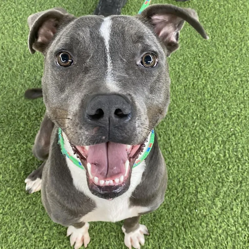 Lolita Aka Lidia thumbnail 2