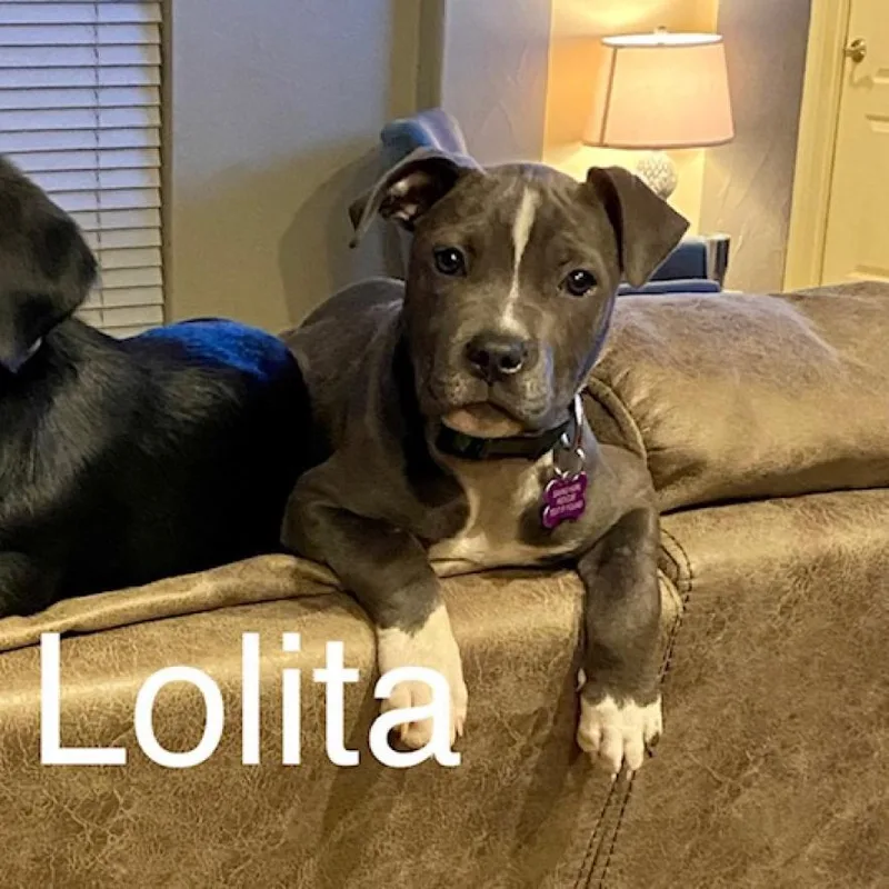 Lolita Aka Lidia thumbnail 3