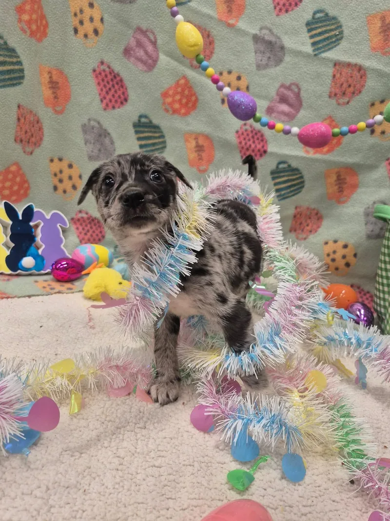 Coral Reef thumbnail 2