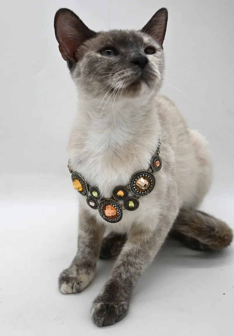 Tabitha thumbnail 3