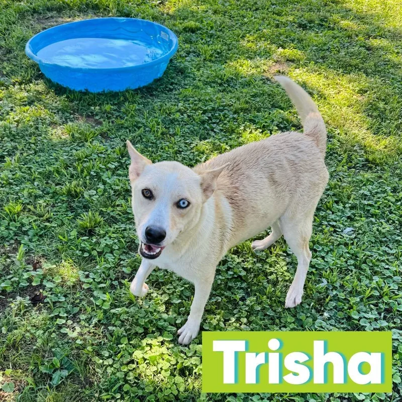 Trisha thumbnail 2