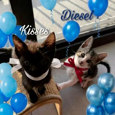 Kisses thumbnail 3