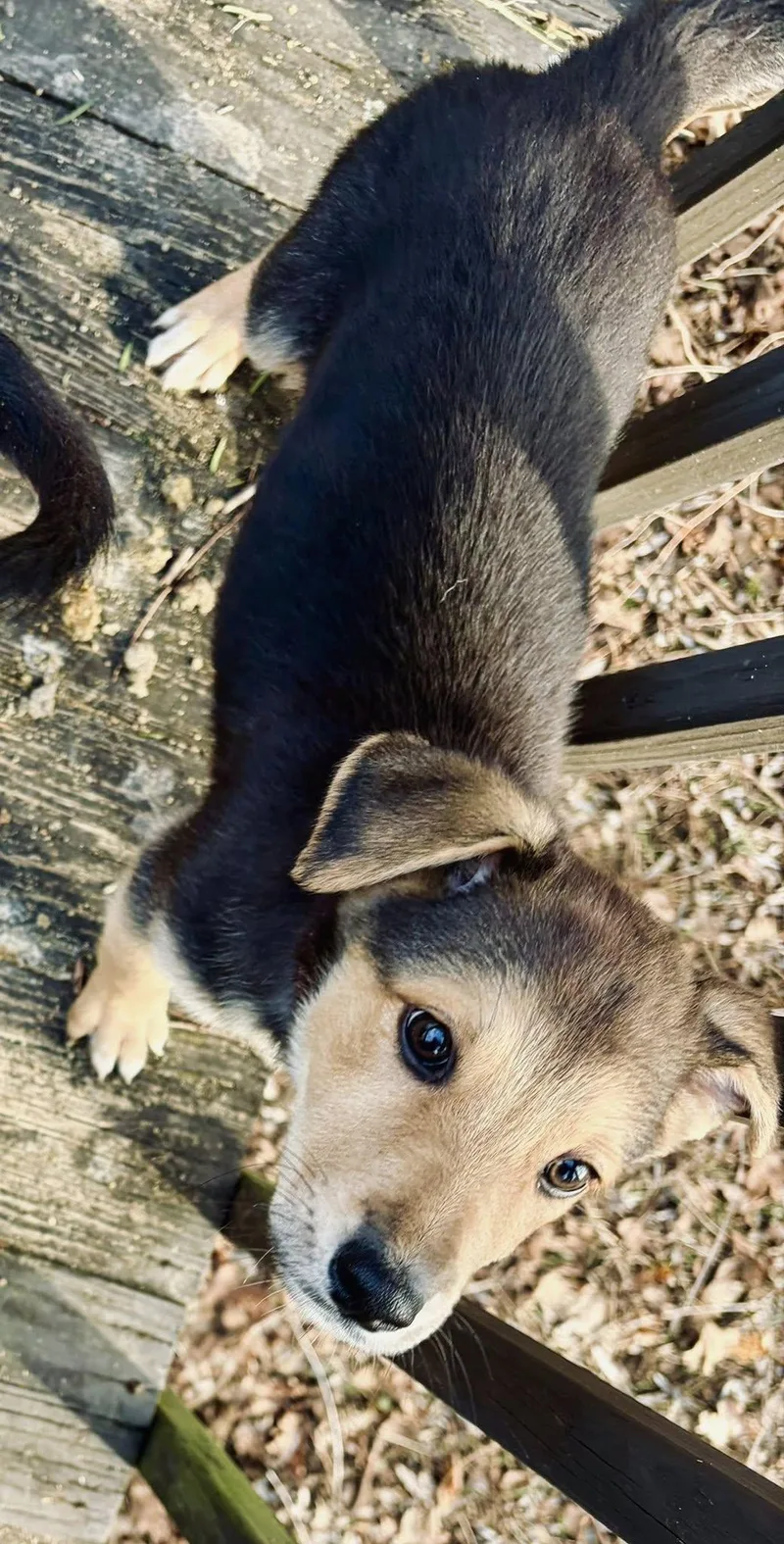 Winchester thumbnail 2