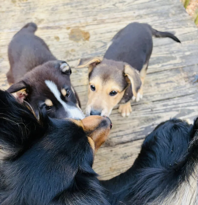 Winchester thumbnail 3