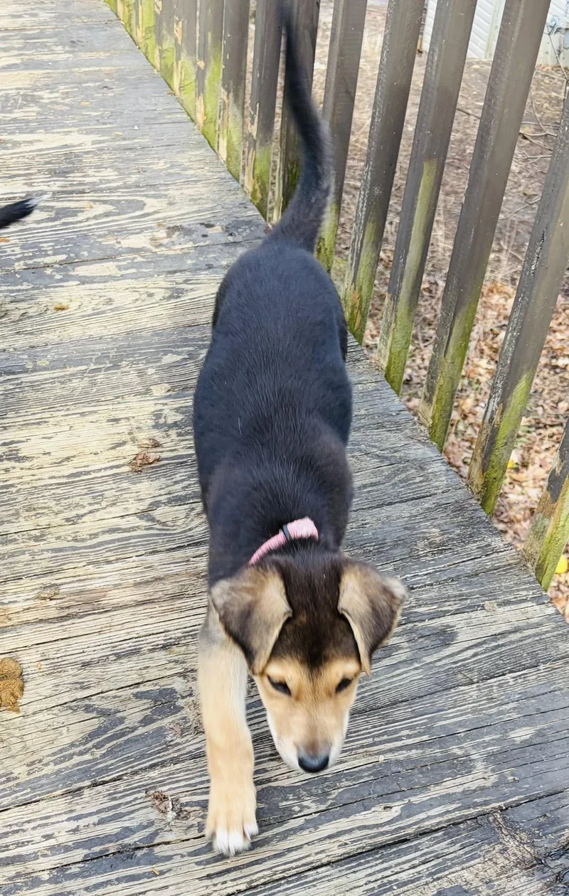 Winchester thumbnail 4