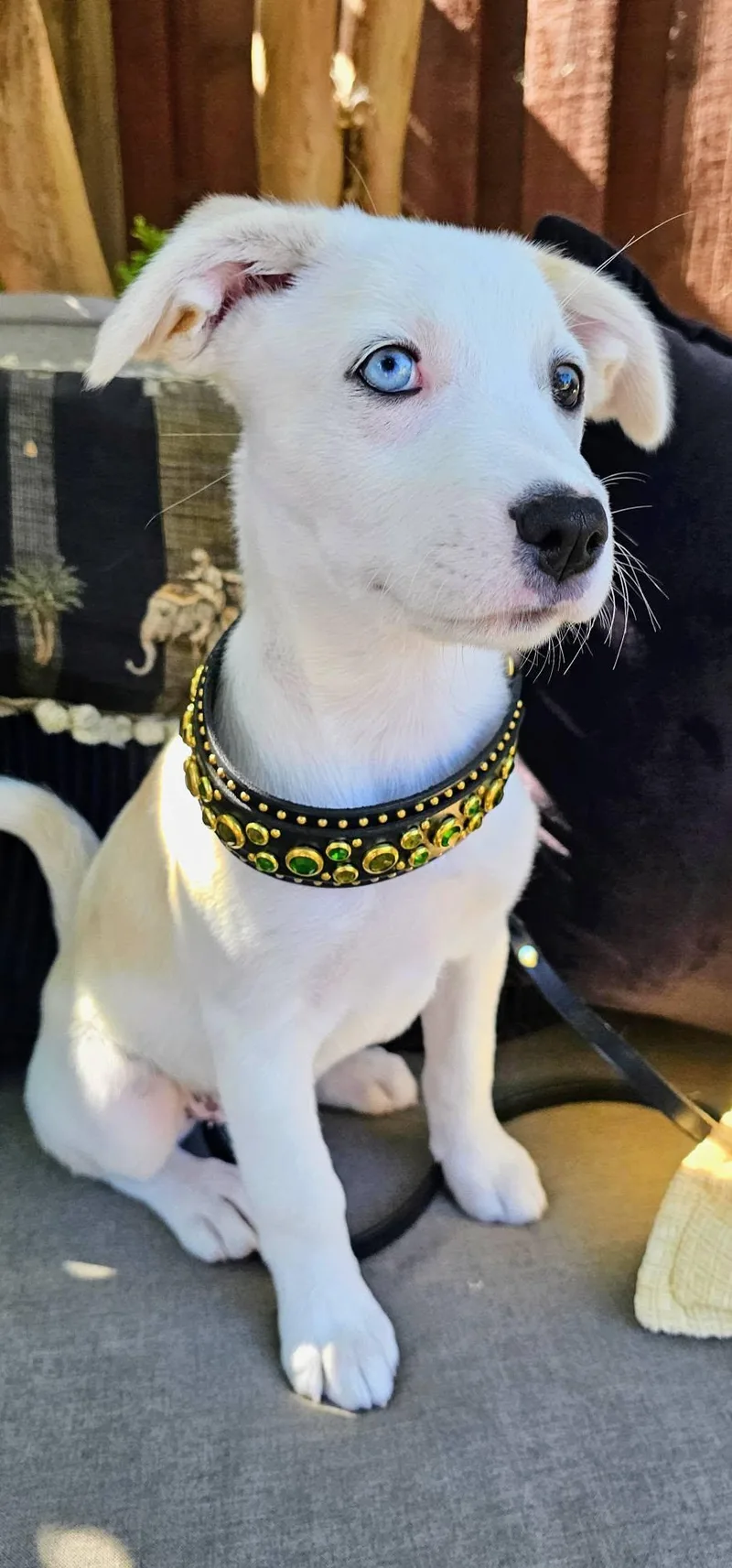 Skye
