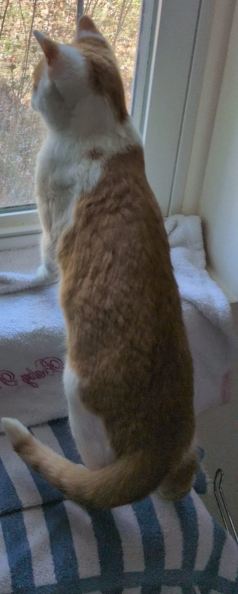 Hangover thumbnail 2