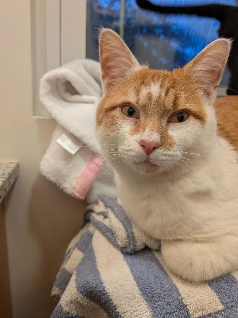 Hangover thumbnail 3