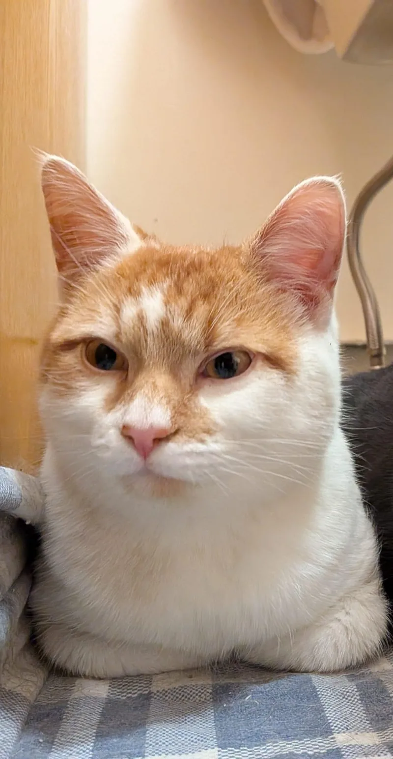 Hangover thumbnail 4