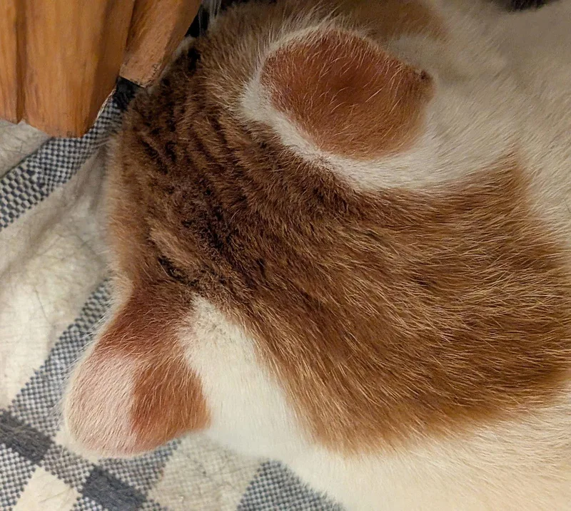 Hangover thumbnail 5