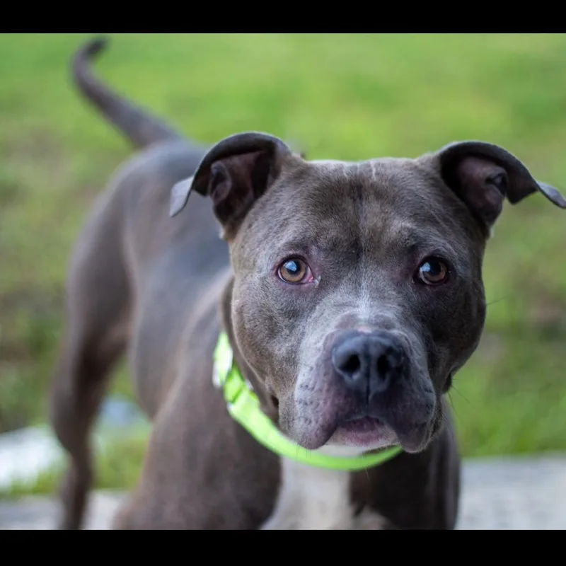 Cyrus thumbnail 2