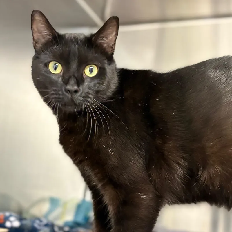 Kingston thumbnail 2