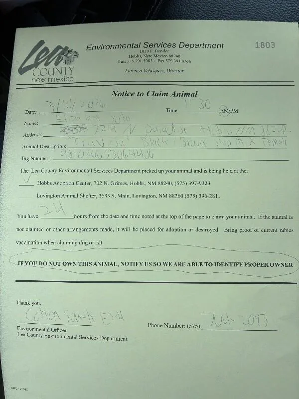 Traviesa thumbnail 5