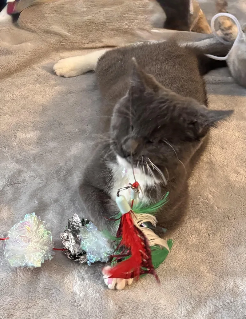 Daisy Elizabeth thumbnail 5