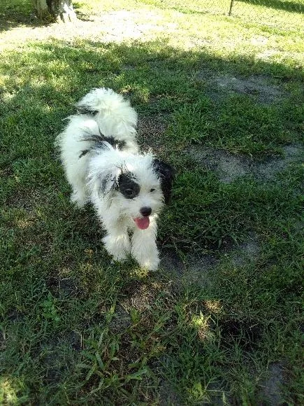 Ernie thumbnail 4