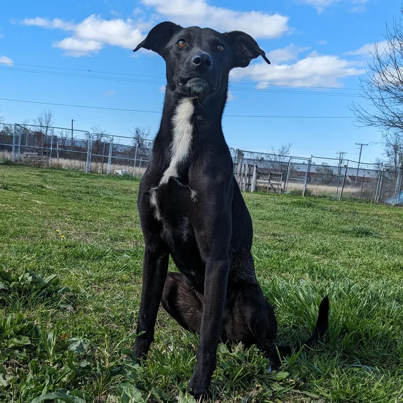 Axel