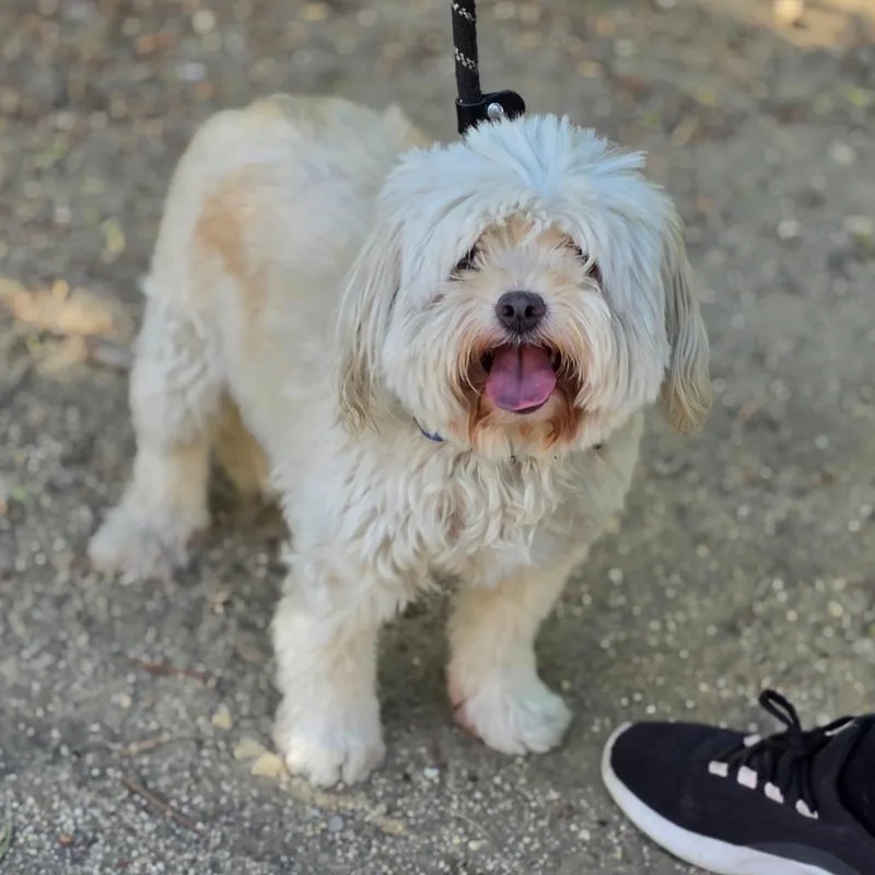 Thunky  Chino Hills thumbnail 3