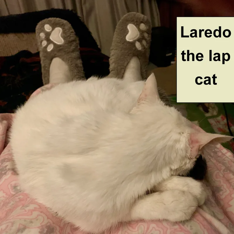 Blue & Green Eyes thumbnail 4