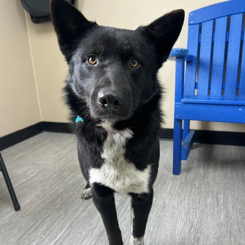 Dr. Robby thumbnail 5