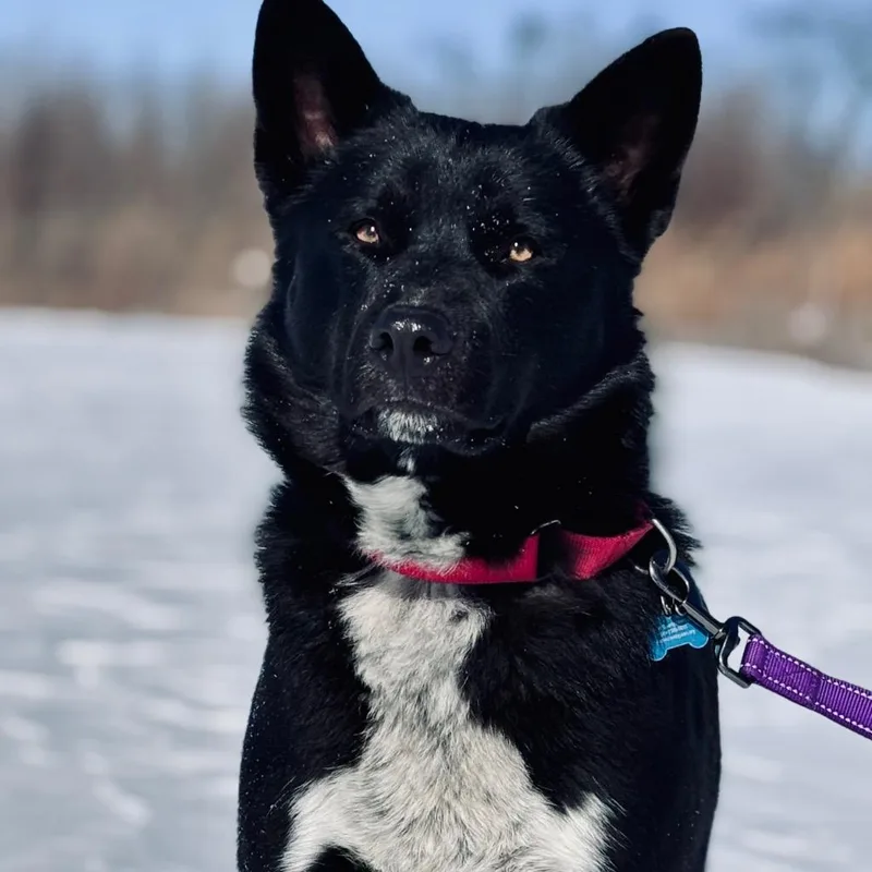 Dr. Robby thumbnail 6