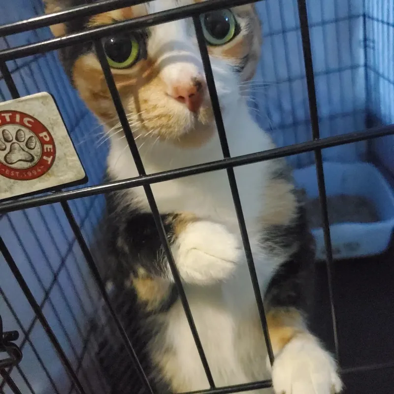 Lexi  Needs To thumbnail 2