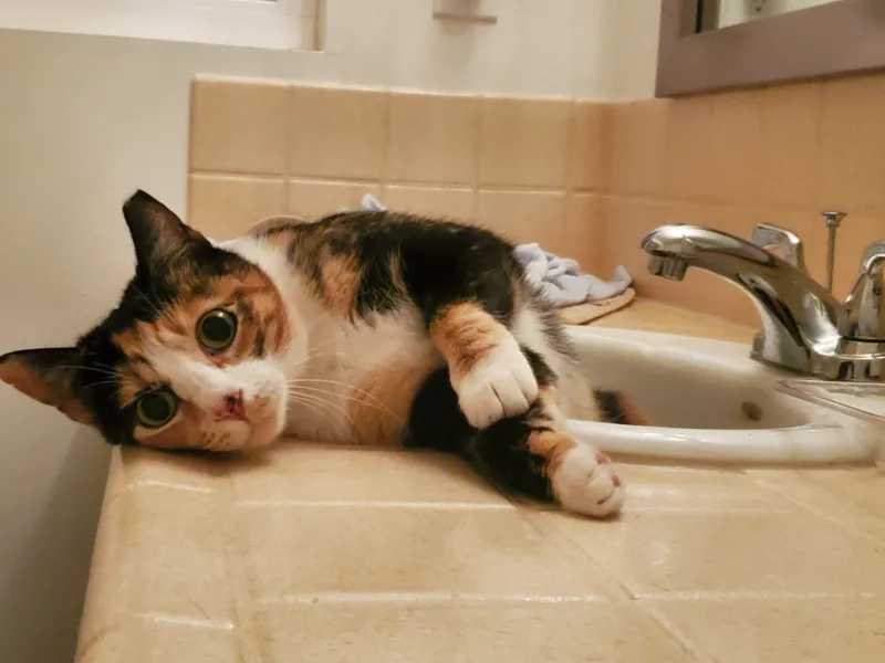 Lexi  Needs To thumbnail 3