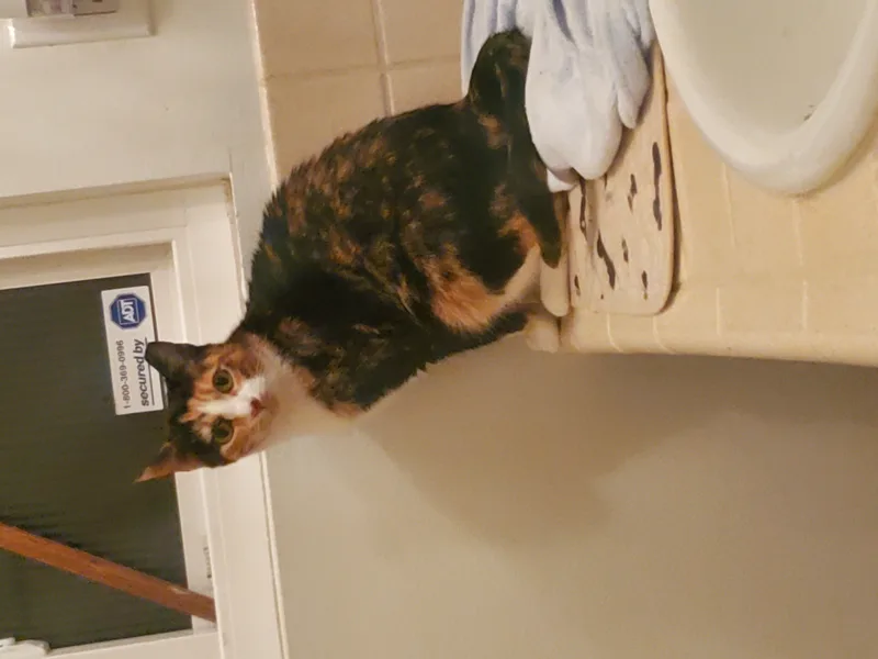 Lexi  Needs To thumbnail 4