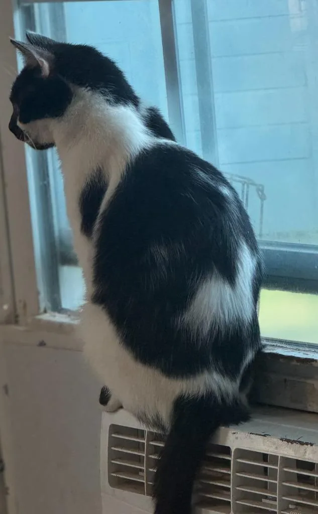 Valentina thumbnail 3