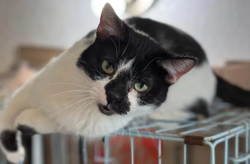 Valentina thumbnail 4