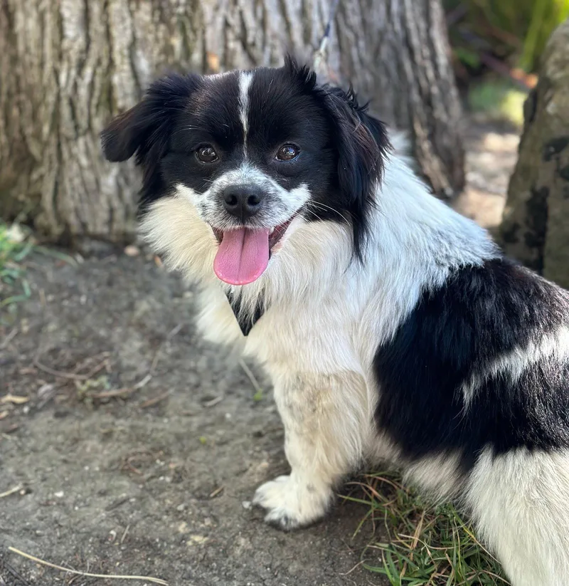 Room Service thumbnail 2