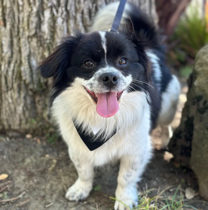 Room Service thumbnail 3