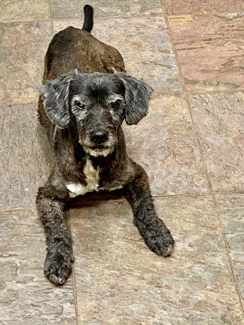 Lepanto Wat thumbnail 3