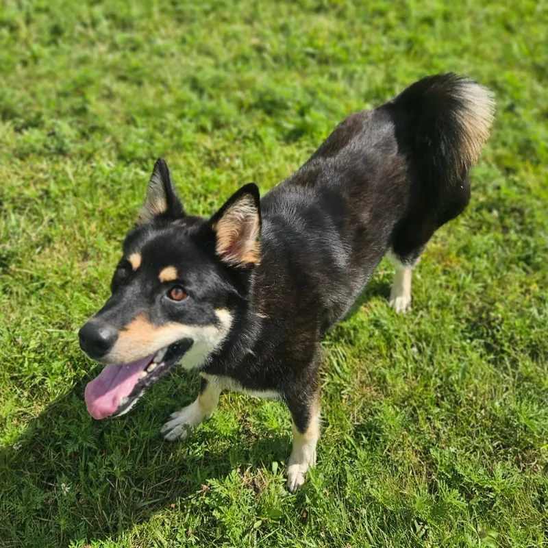 Stitch thumbnail 4