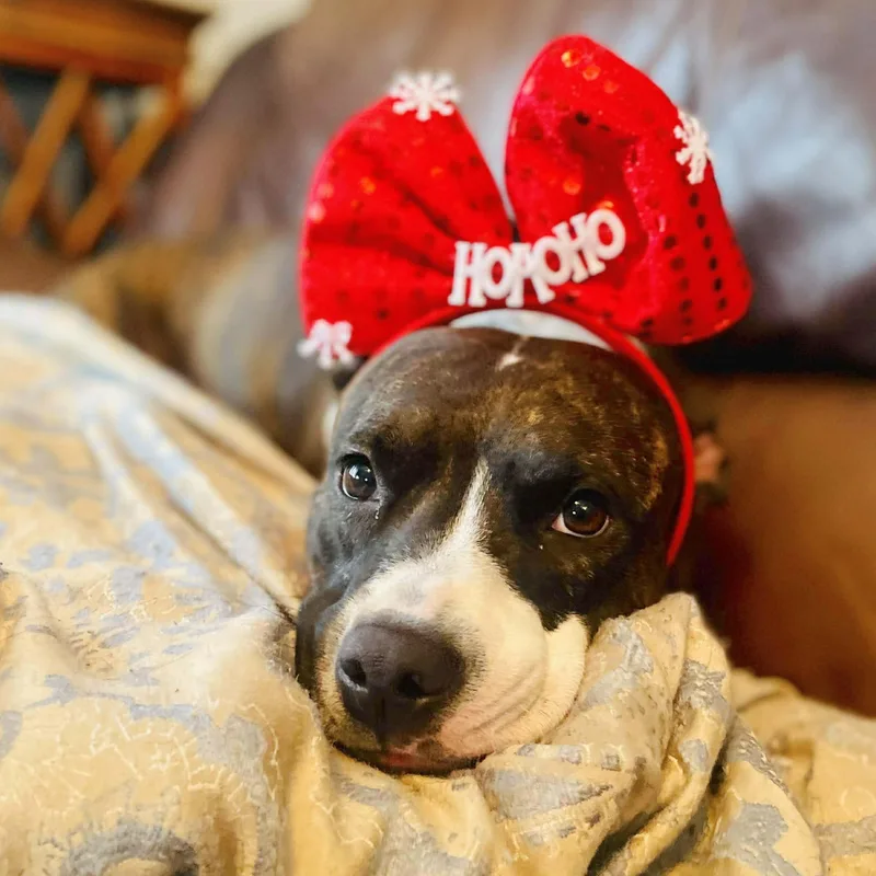 Florentina thumbnail 3